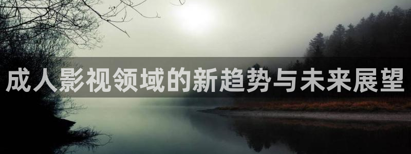 星辰合力影视：成人影视领域的新趋势与未来展望