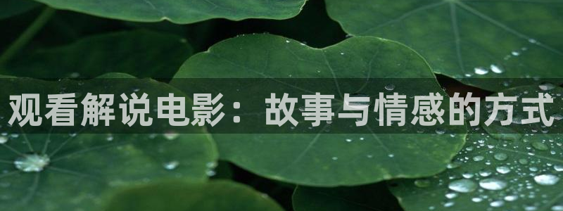 狂飙在线电视剧免费观看星辰影视：观看解说电影：故事与情感的方式