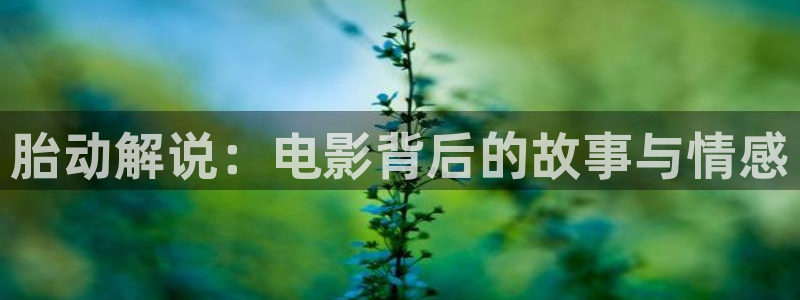 杉杉来了星辰影院
