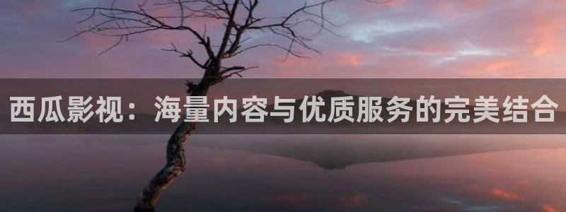 后浪电视剧40集免费播放星辰影视：西瓜影视：海量内容与优质服务的完美结合
