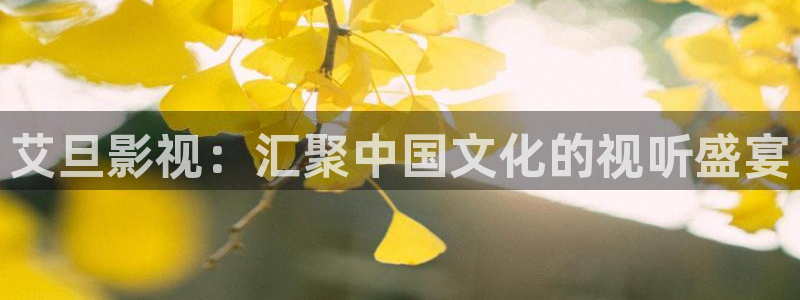 星辰影院播放电影大全在线观看：艾旦影视：汇聚中国文化的视听盛宴