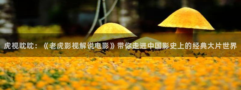 伪装者星辰影视：虎视眈眈：《老虎影视解说电影》带你走进中国影史上的经典大片世界