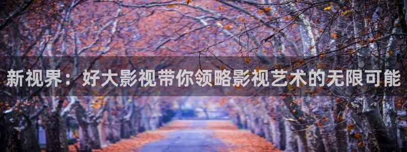 金婚星辰影院：新视界：好大影视带你领略影视艺术的无限可能