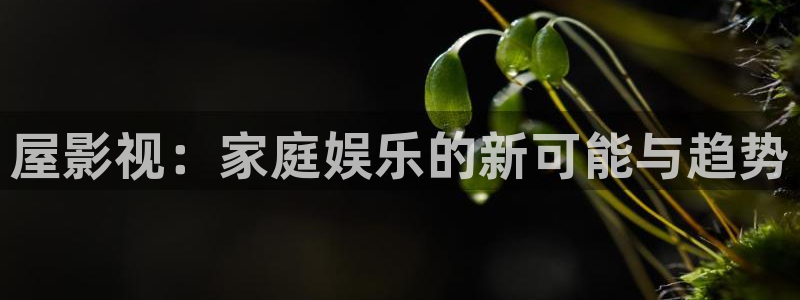 白夜破晓星辰影视：屋影视：家庭娱乐的新可能与趋势