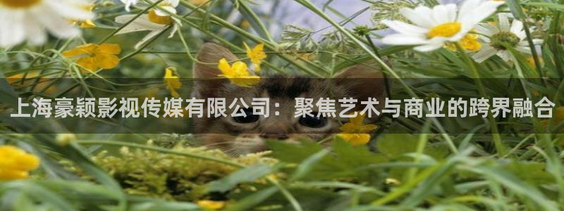 南来北往连续剧星辰影院：上海豪颖影视传媒有限公司：聚焦艺术与商业的跨界融合