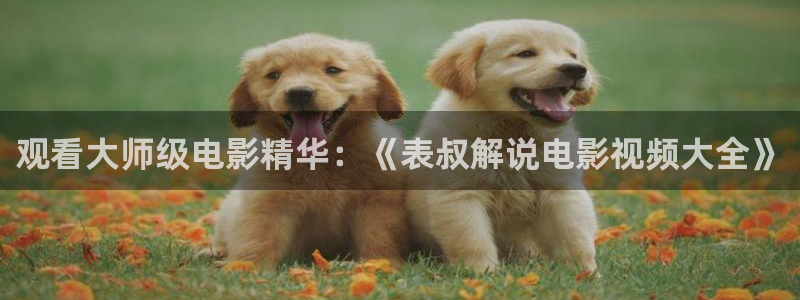 星辰影院 韩剧：观看大师级电影精华：《表叔解说电影视频大全》