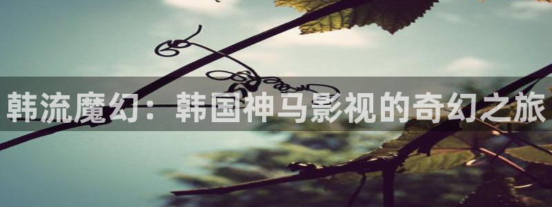 星辰电影免费完整版在线观看：韩流魔幻：韩国神马影视的奇幻之旅
