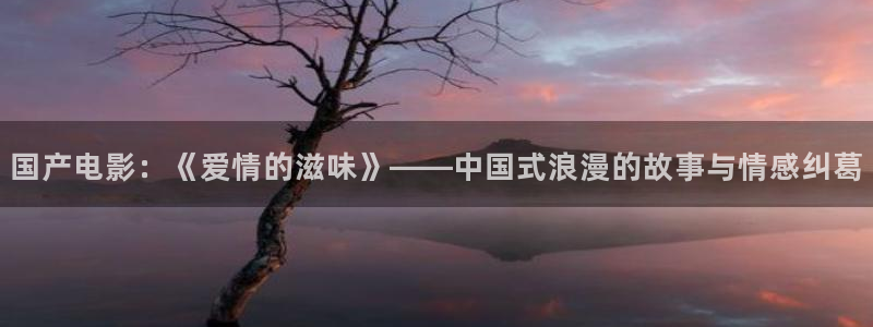 御赐小仵作免费观看星辰影院：国产电影：《爱情的滋味》——中国式浪漫的故事与情感纠葛