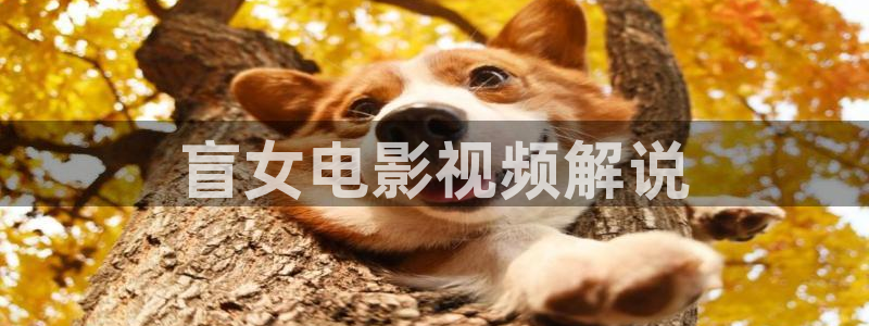 惜花芷电视剧星辰影院免费观看