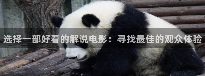 唐朝诡事录星辰影院