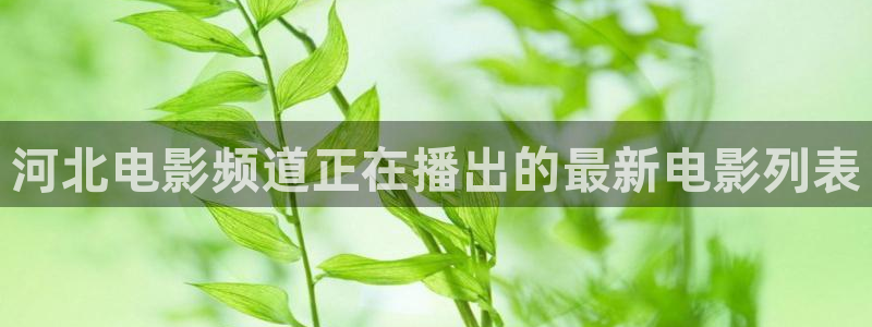 星辰影院去有风的地方