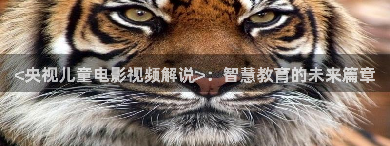 宁安如梦电视剧免费播放在线高清星辰影院