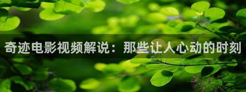 爱你电视剧免费观看完整版星辰影院