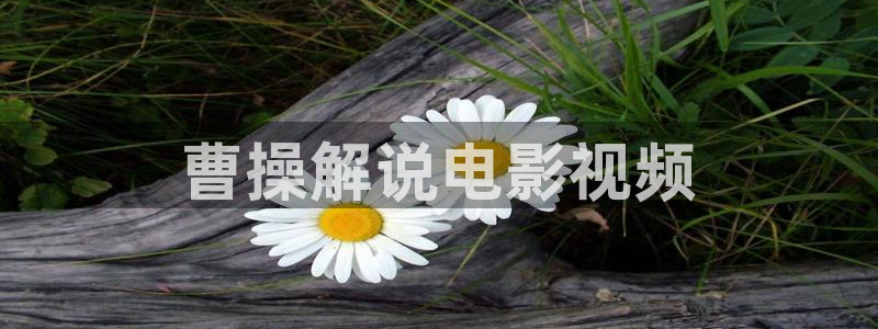 破事精英免费看星辰影视