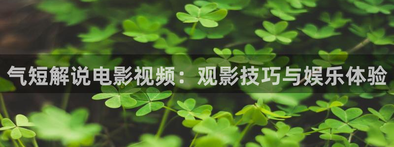 星辰影院在线观看高清