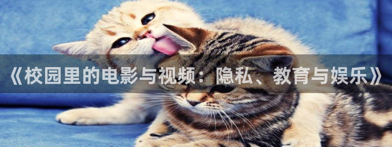 我们的2018免费观看星辰影院