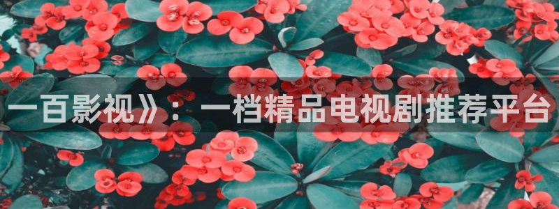 星辰策驰影院免费影院