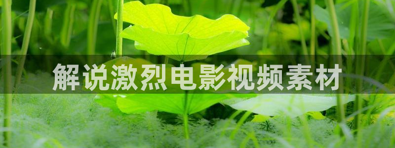 星辰影院高清在线观看