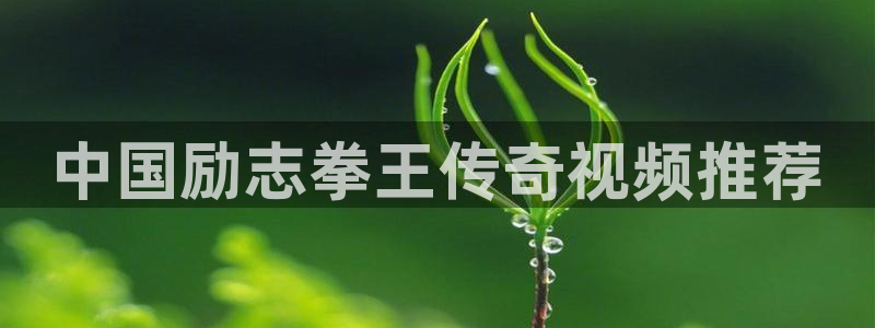 星辰影视大全在线观看