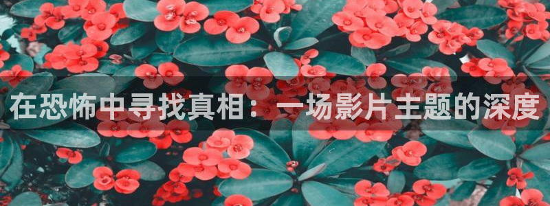 唐人街探案星辰影院