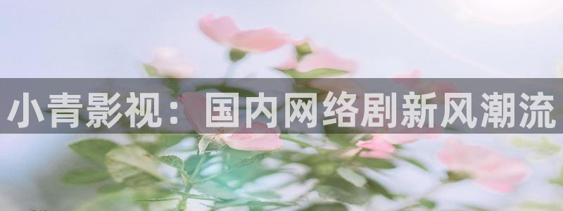 百岁之好一言为定电视剧星辰影院