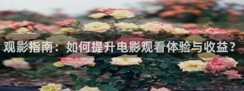 星辰影院最新热播电影