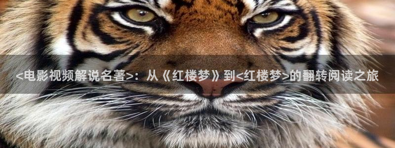 招摇电视剧星辰影院