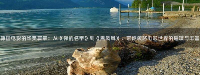 星辰于我免费观看下拉式6漫画：韩国电影的华美篇章：从《你的名字》到《黑凤凰》，带你领略电影世界的璀璨与丰富