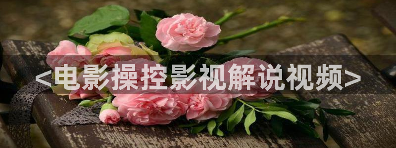 电影网星辰：<电影操控影视解说视频>