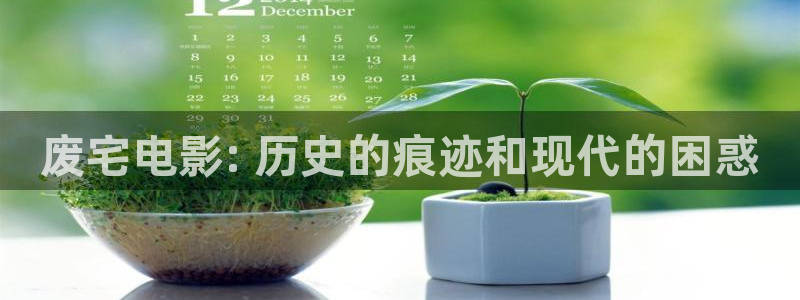 星辰影院电视免费：废宅电影: 历史的痕迹和现代的困惑