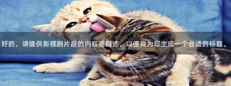 新西游记星辰影院在线播放