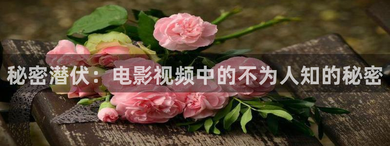 长乐曲电视剧星辰影院在线观看