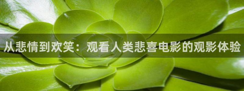 扫黑风暴在线观看免费完整版星辰影院