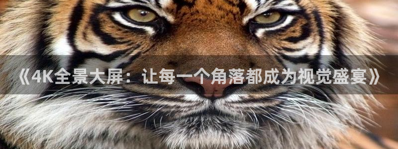 知否在线观看完整版免费星辰影院