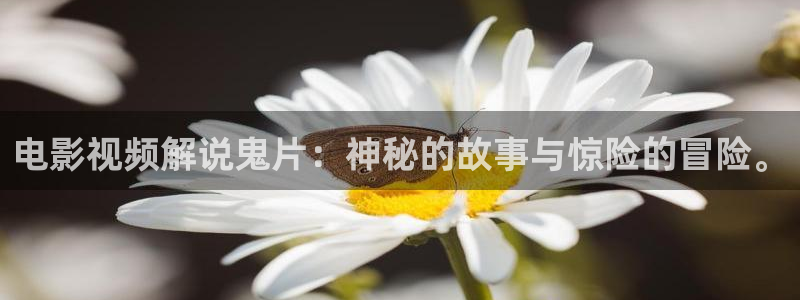 你比星光美丽星辰影院