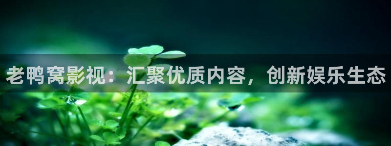 星辰影院电视剧免费观看高清