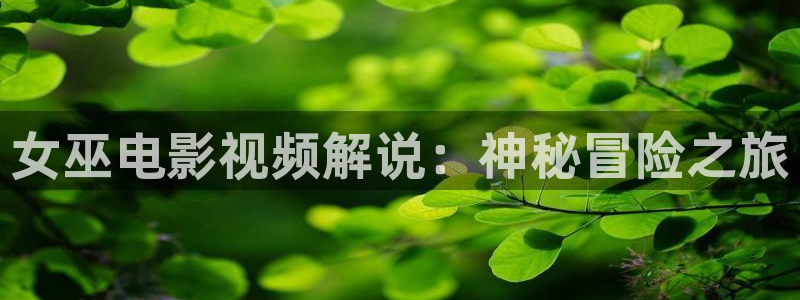 星辰影院理伦片