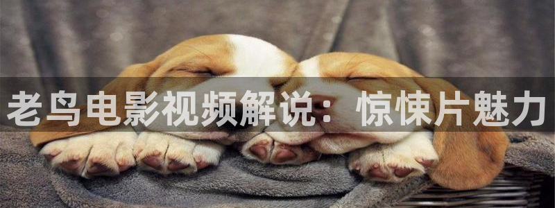 山花烂漫时电视剧星辰影院