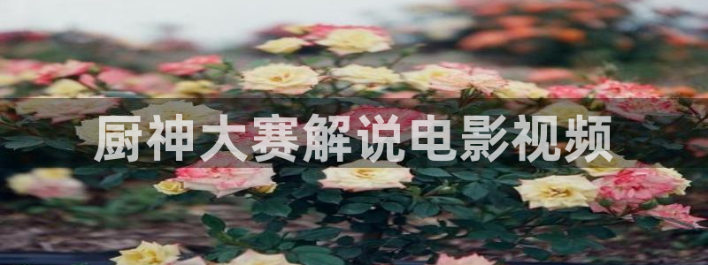 放牛班的春天星辰影院