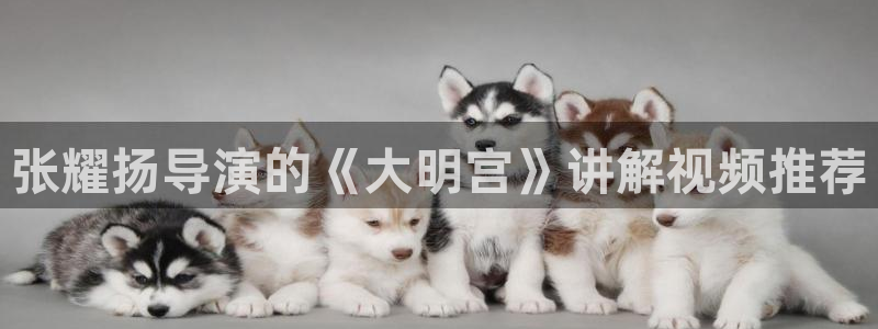 星辰影院www