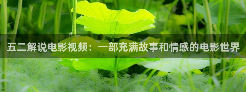 流水迢迢电视剧免费观看星辰影院