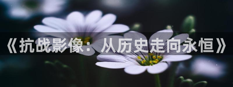 奔跑吧第八季免费观看星辰影院