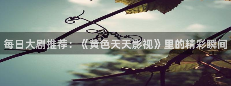 海上繁花全集46集免费观看星辰影院