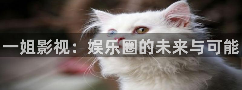 星辰影院视频高清在线观看