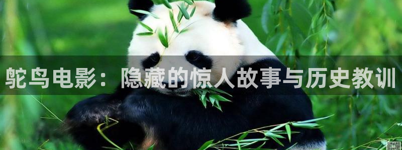 妈妈的朋友星辰影视