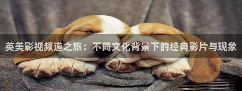 星辰影院在线观看全集免费观看星辰影院