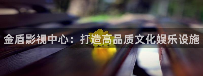 鹊刀门传奇星辰影院高清