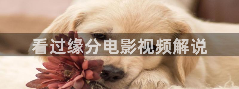 星空星辰影院：看过缘分电影视频解说