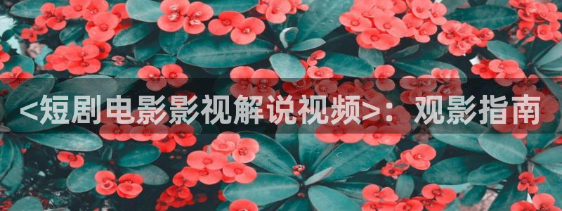 城中之城星辰影院
