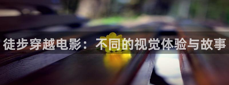 熊出没之重返地球星辰影院：徒步穿越电影：不同的视觉体验与故事